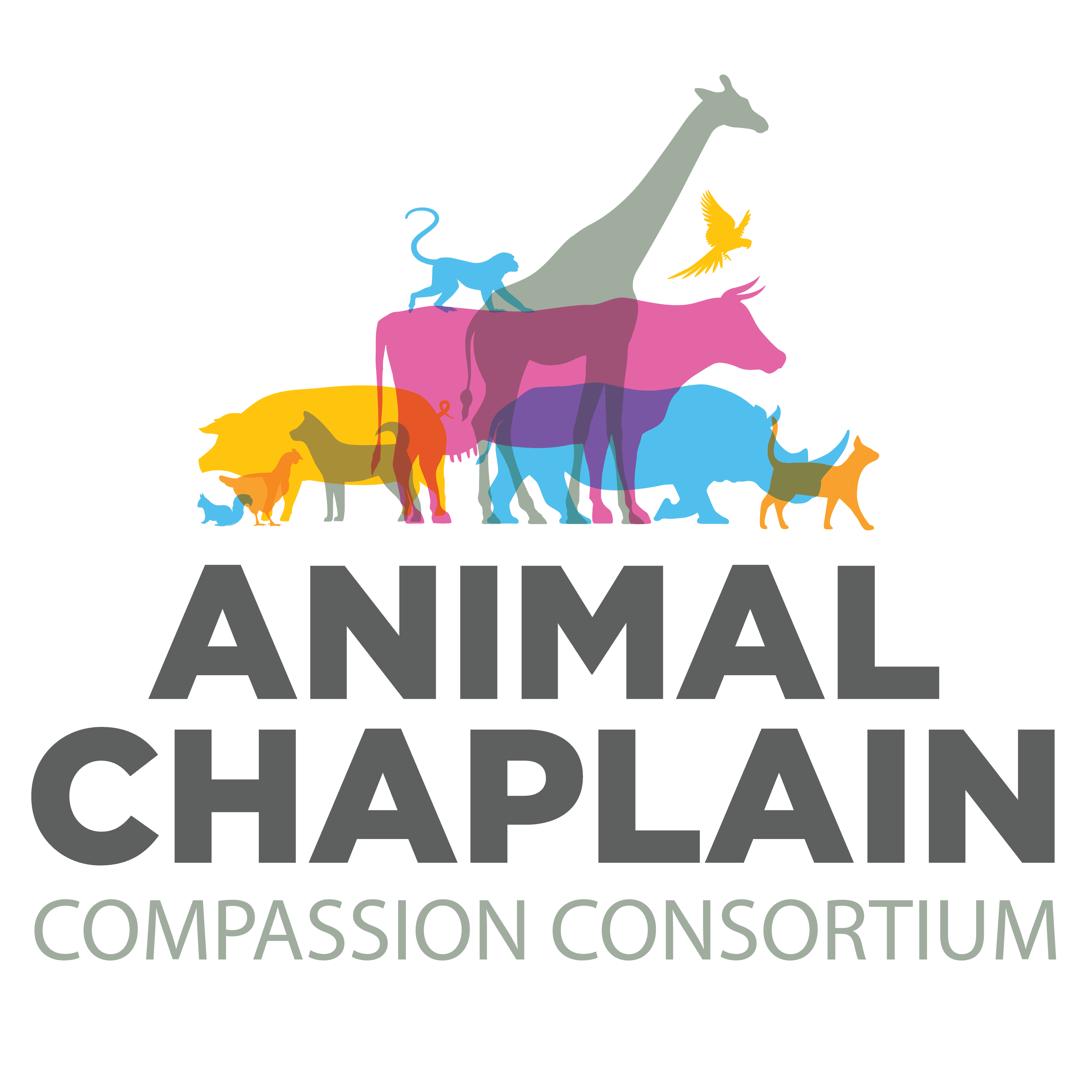 6a4bf023ef219_CC_AnimalChaplain_Logo_ForLightBackgrounds_med (1)