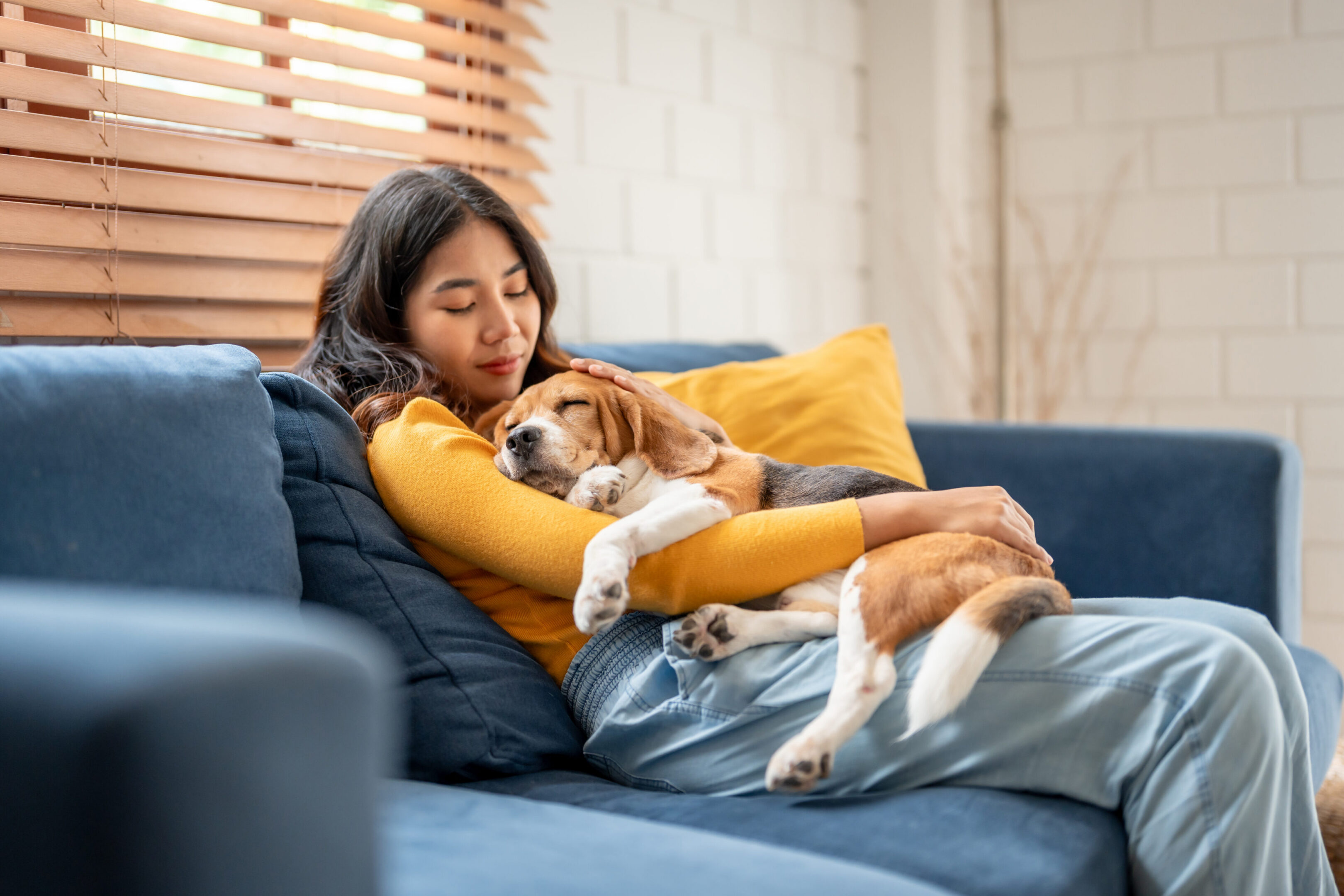 Woman cuddling with a dog on couch.